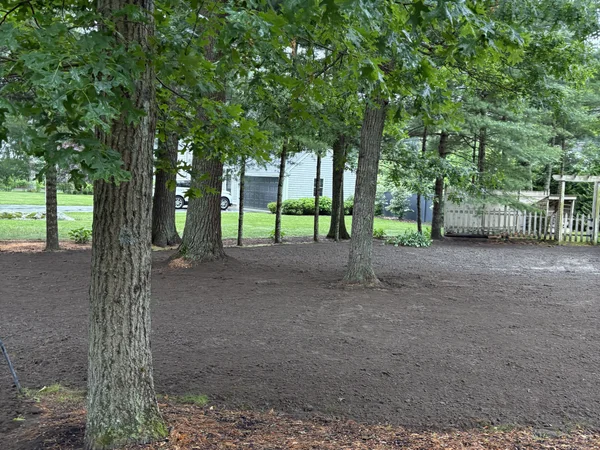 Tree Work Services - MAC Excavation & Landscape Professional tree work and land clearing by MAC Excavation & Landscape in South Shore MA